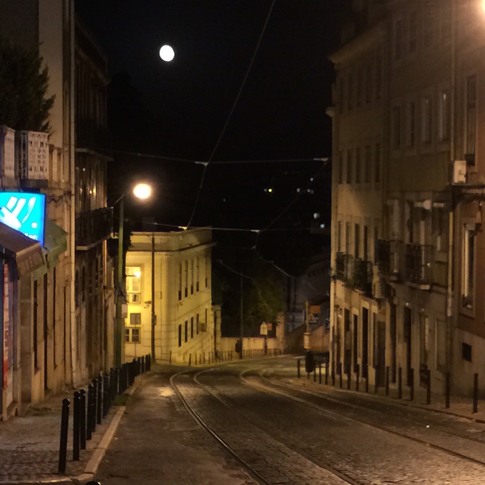 Final-editing poetry book manuscript under the full moon.